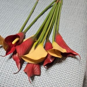 Elegant Red and Yellow Calla Lily Bouquet